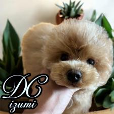 オンライン見学