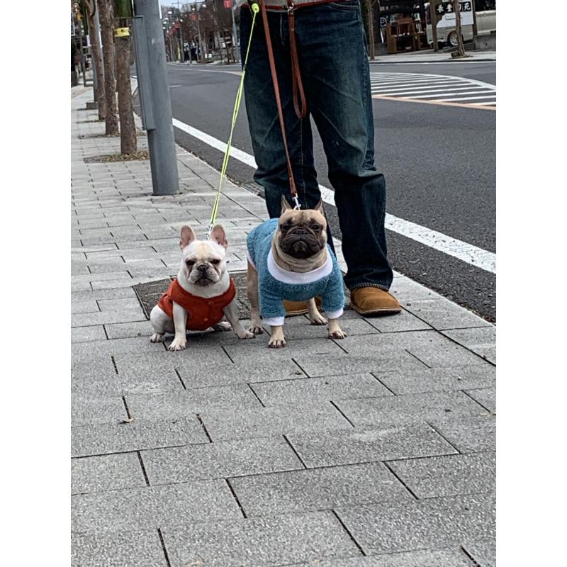 岩下良美ブリーダーの詳細の1枚目