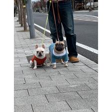 岩下良美ブリーダー