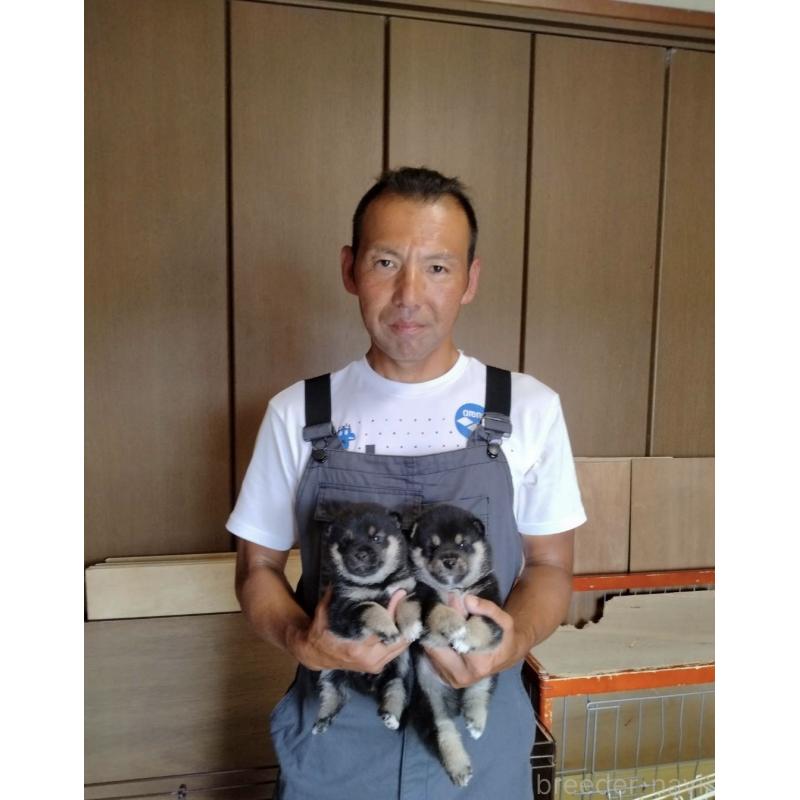平井政芳ブリーダーの詳細