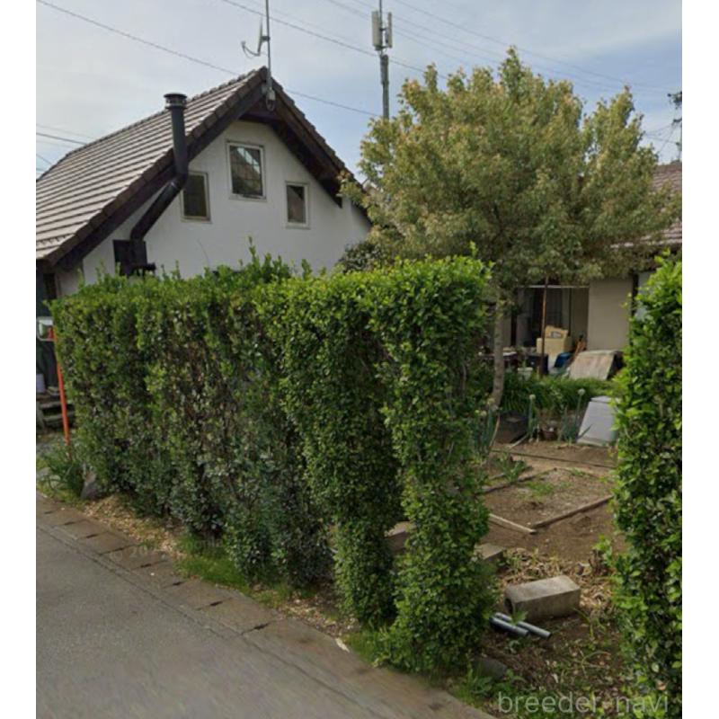 鈴木早苗ブリーダーの詳細