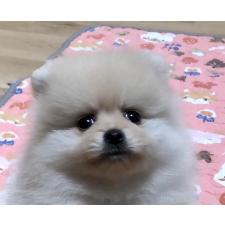 オンライン見学