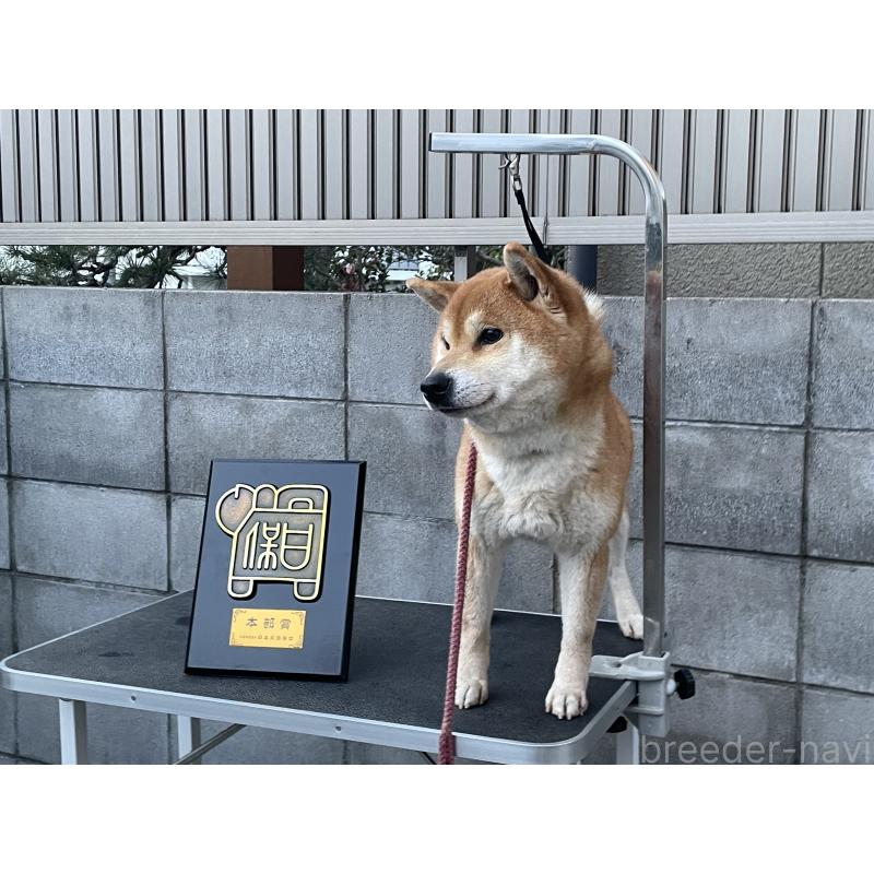 沼貴博ブリーダーの詳細