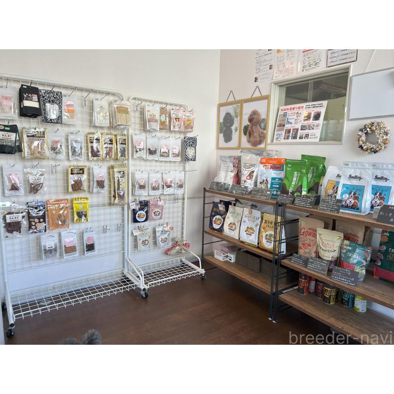 石川美奈ブリーダーの詳細