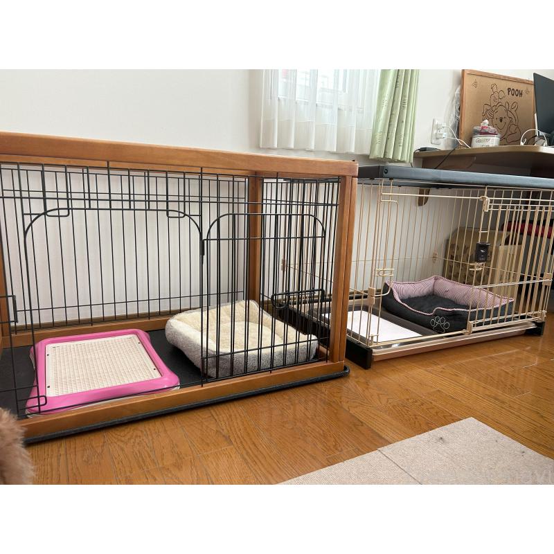 石川美奈ブリーダーの詳細