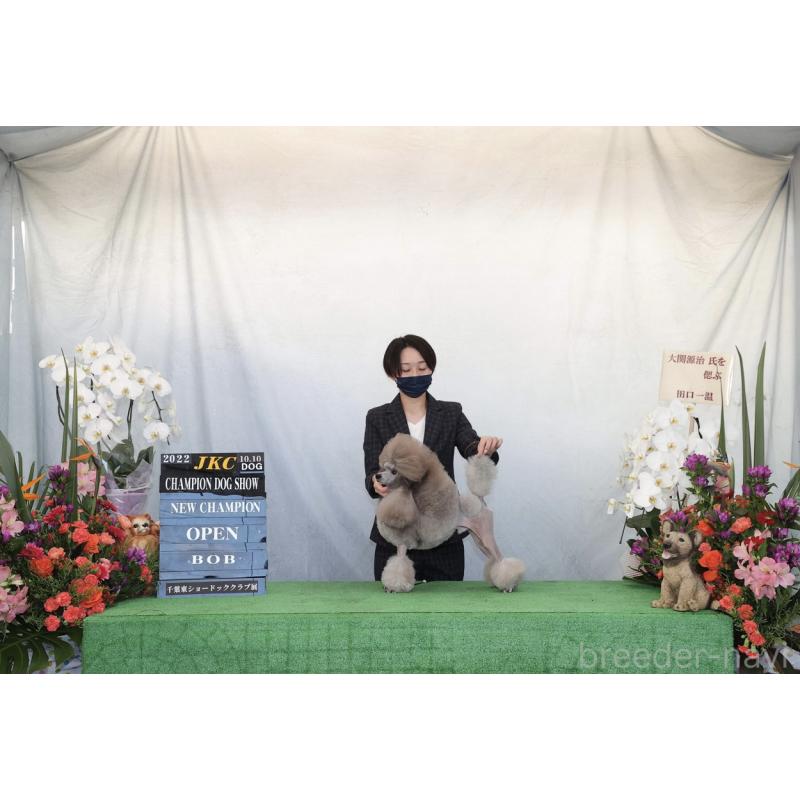 木幡優花ブリーダーの詳細の1枚目