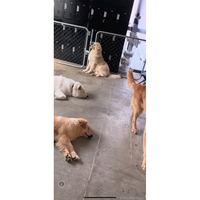 笹埜祐矢ブリーダーの詳細の1枚目