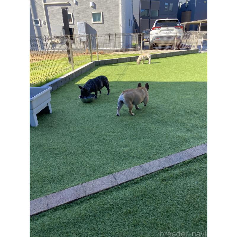 渡邉貴代ブリーダーの詳細の1枚目