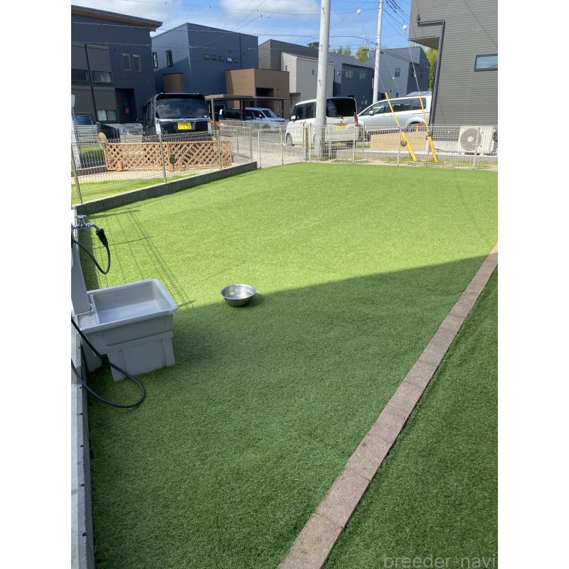 渡邉貴代ブリーダーの詳細