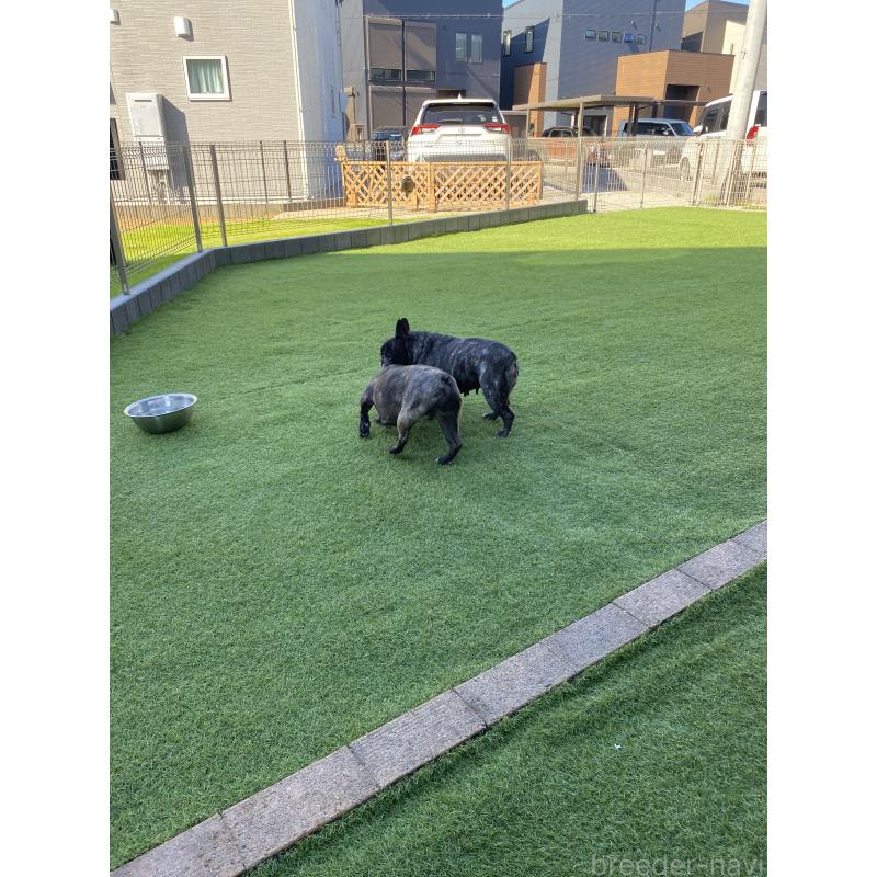 渡邉貴代ブリーダーの詳細