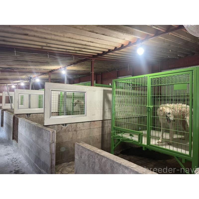 何暁松ブリーダーの詳細