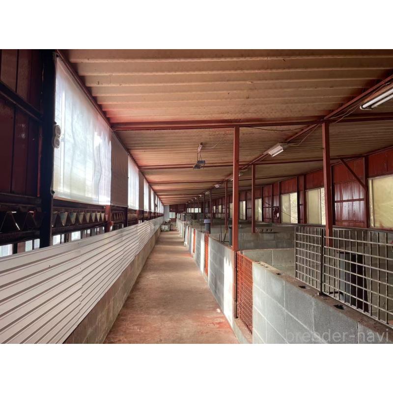 何暁松ブリーダーの詳細