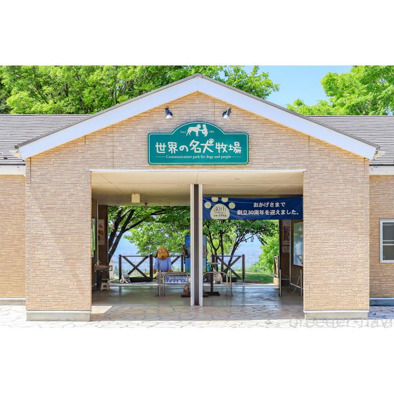 星野貴ブリーダーの詳細の1枚目