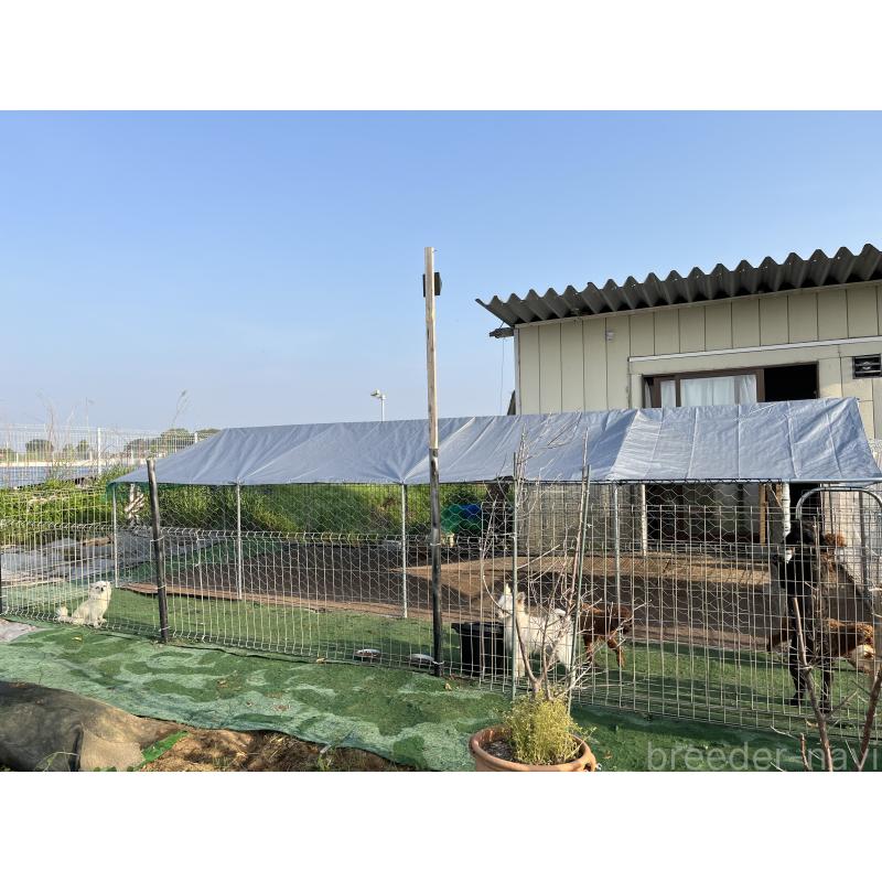 高橋栄子ブリーダーの詳細