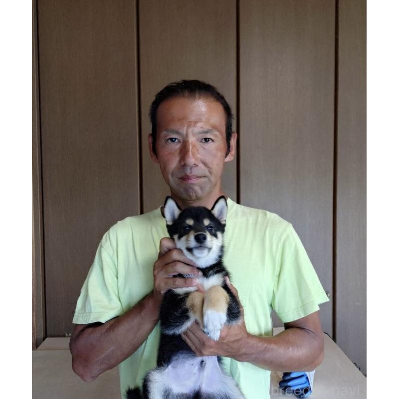 平井貴大ブリーダーの詳細の1枚目