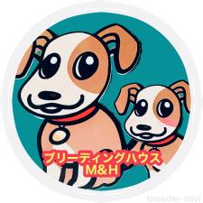 井上朋之ブリーダー