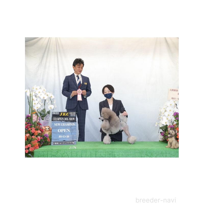 木幡優花ブリーダーの詳細
