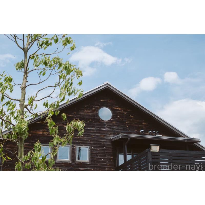 宮田玲美ブリーダーの詳細