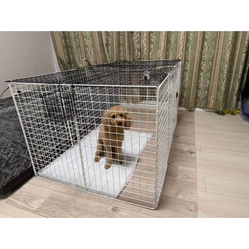 阪部信展ブリーダーの詳細