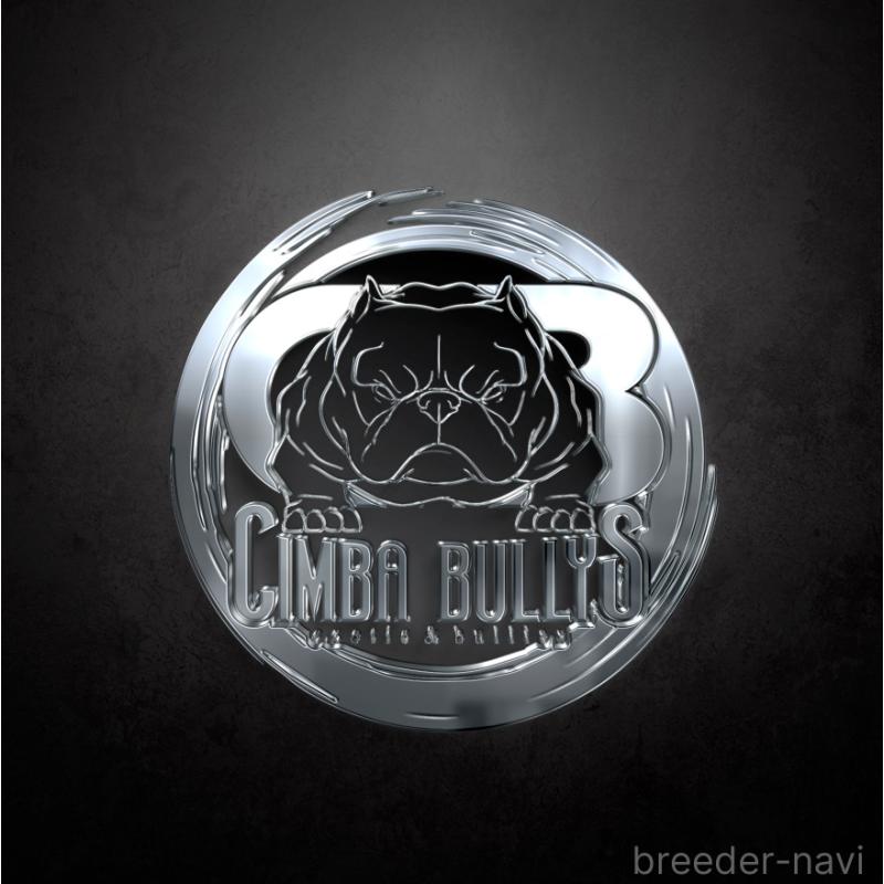 矢野光輝ブリーダーの詳細の1枚目