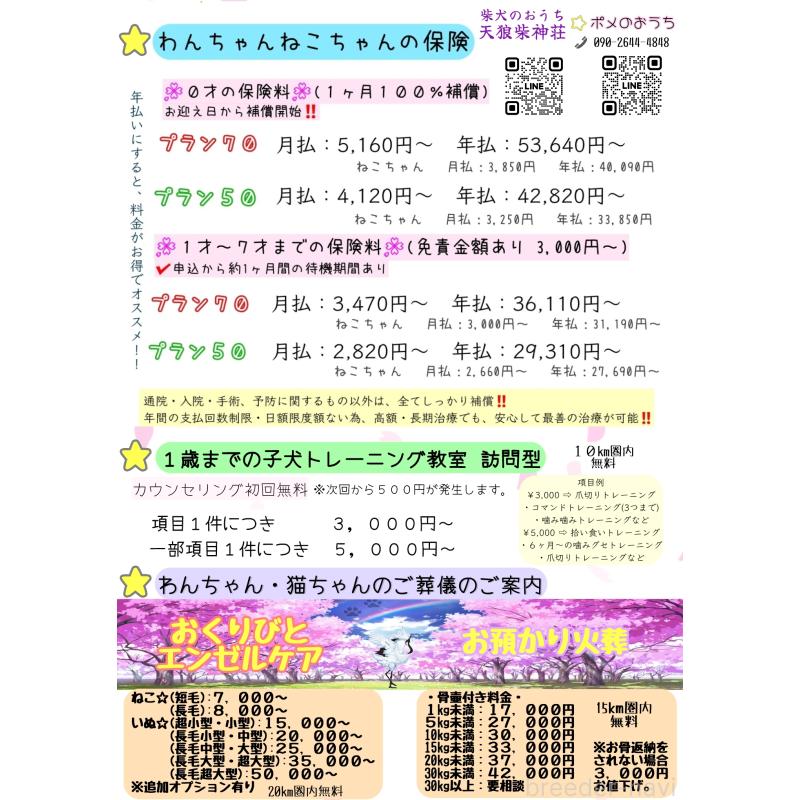 大友怜奈ブリーダーの詳細