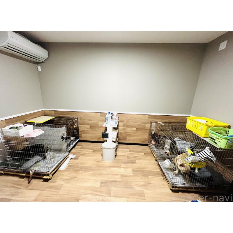 高木愛ブリーダーの詳細