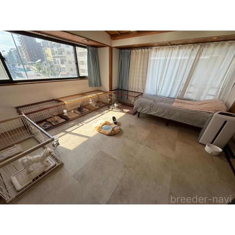 李哲ブリーダーの詳細