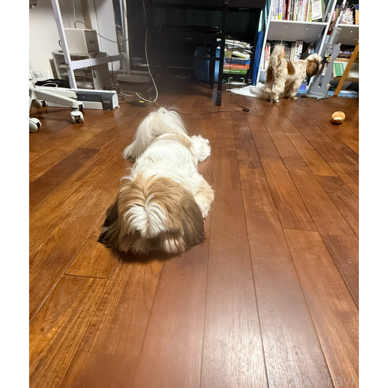 李哲ブリーダーの詳細