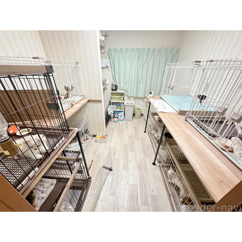 中川優華ブリーダーの詳細