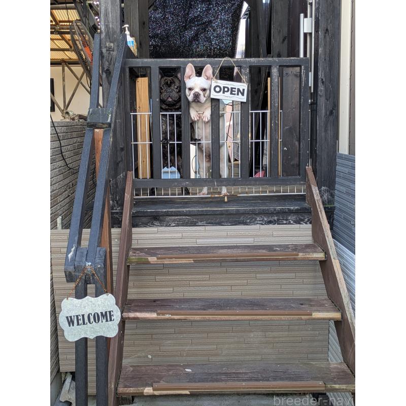 池田雅隆ブリーダーの詳細