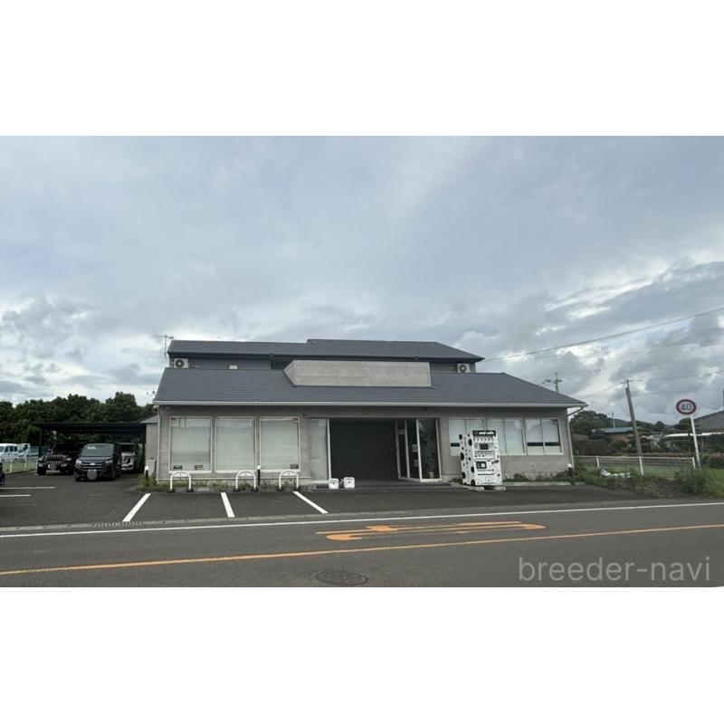 松下千春ブリーダーの詳細