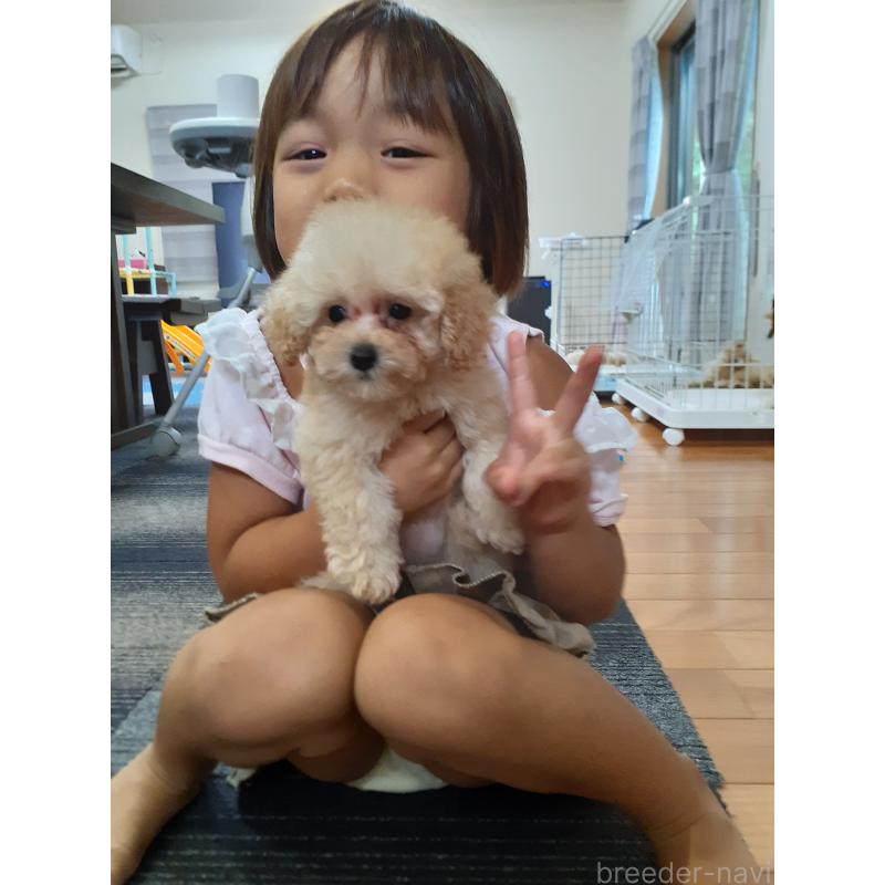 仲西峰子ブリーダーの詳細