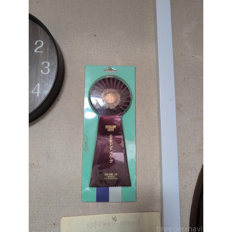 山口道子ブリーダーの詳細