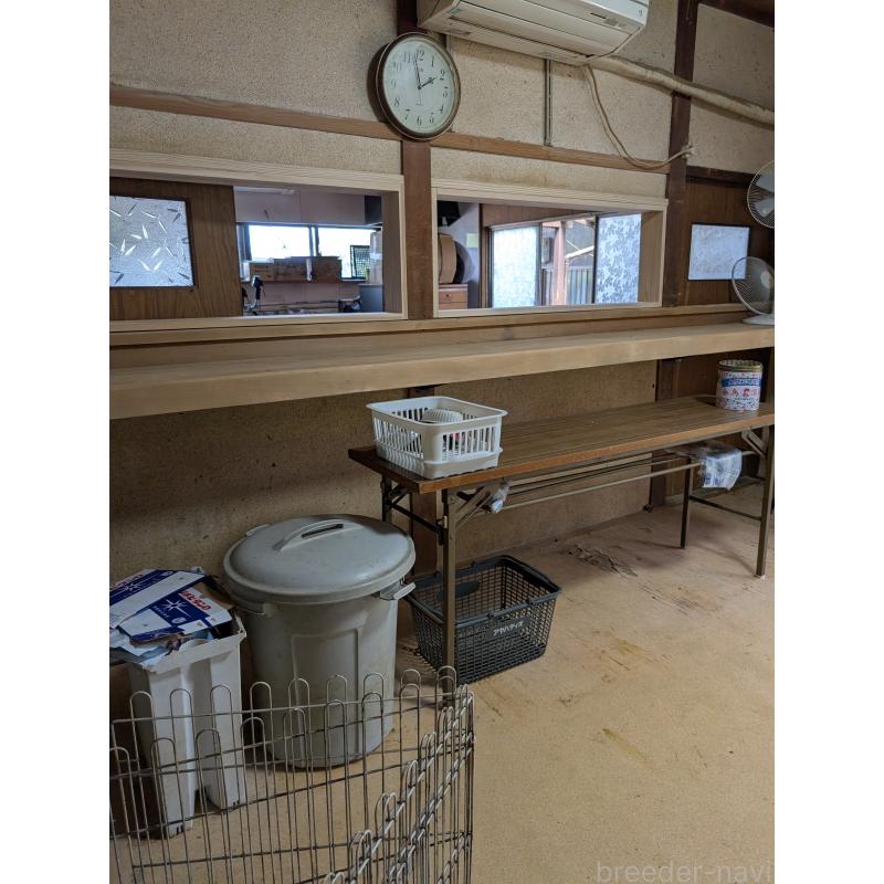 山口道子ブリーダーの詳細