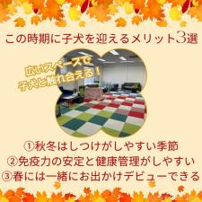 鈴木愛ブリーダー