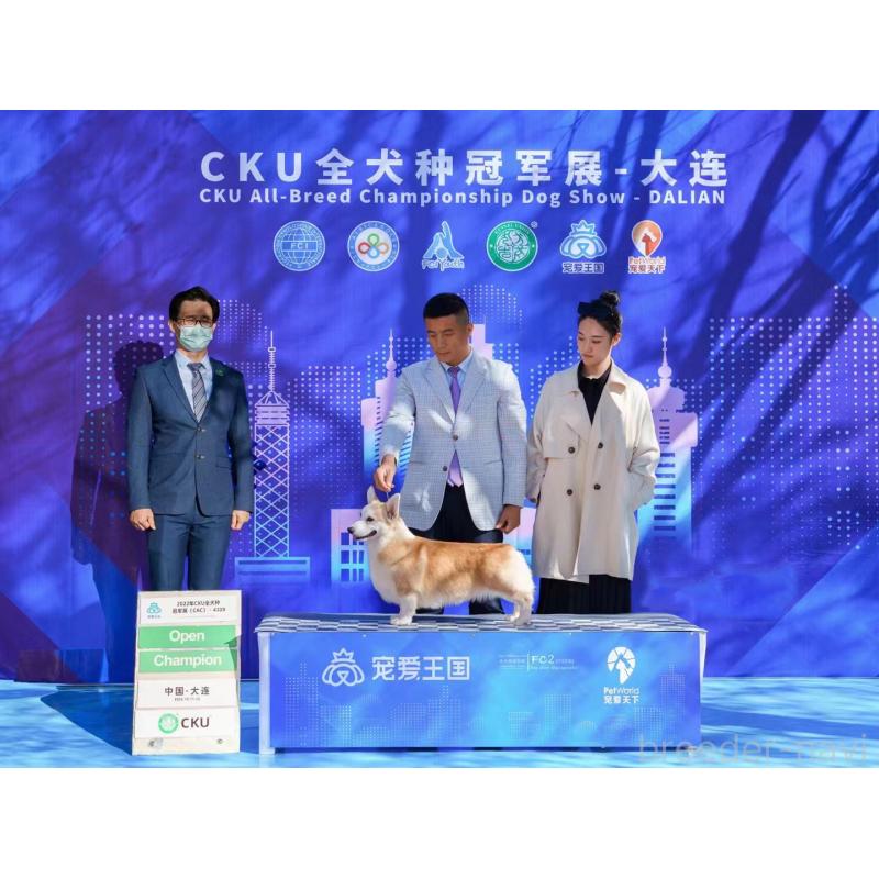 由美子ブリーダーの詳細