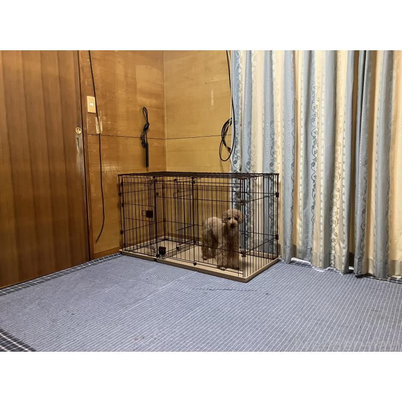 上原光葵ブリーダーの詳細