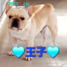 父親犬