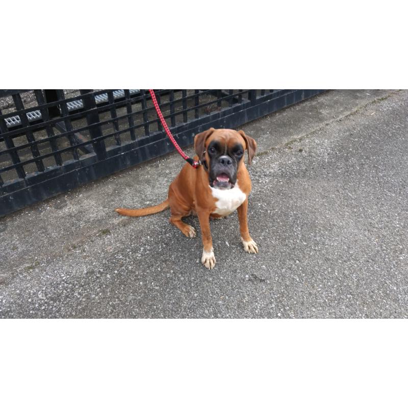 福田貴哉ブリーダーの詳細