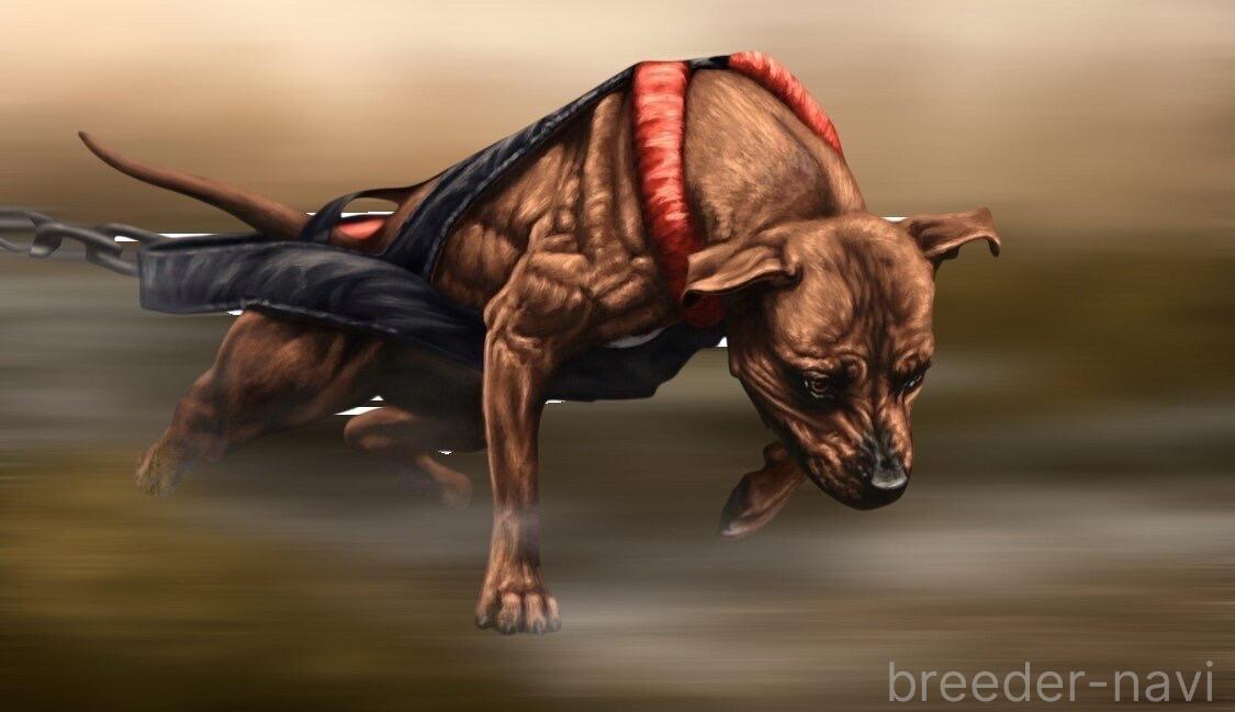 小松ブリーダー