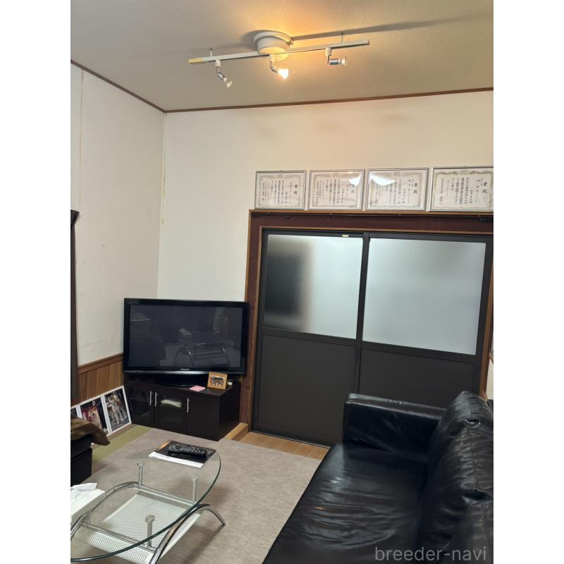 金澤匡隼ブリーダーの詳細