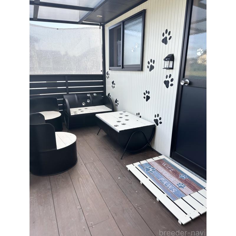 中嶋美紀ブリーダーの詳細