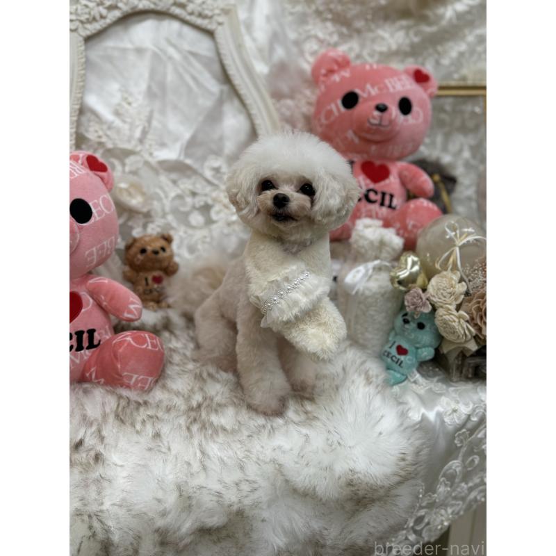 松原留美ブリーダーの詳細