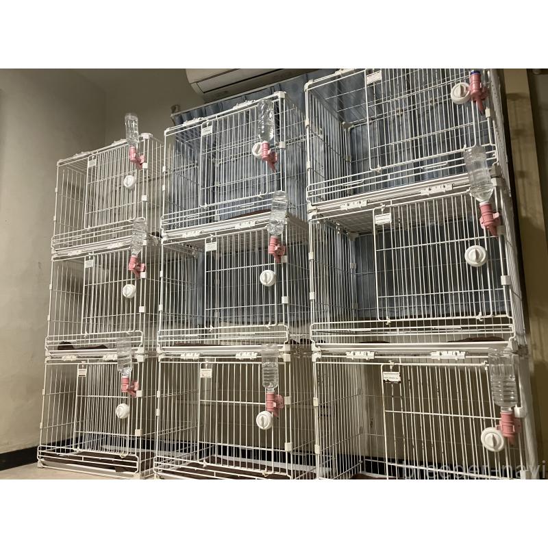 名嘉村美悠ブリーダーの詳細