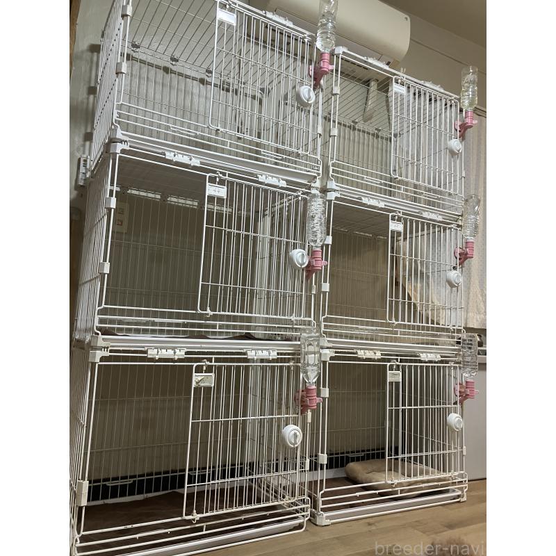 名嘉村美悠ブリーダーの詳細