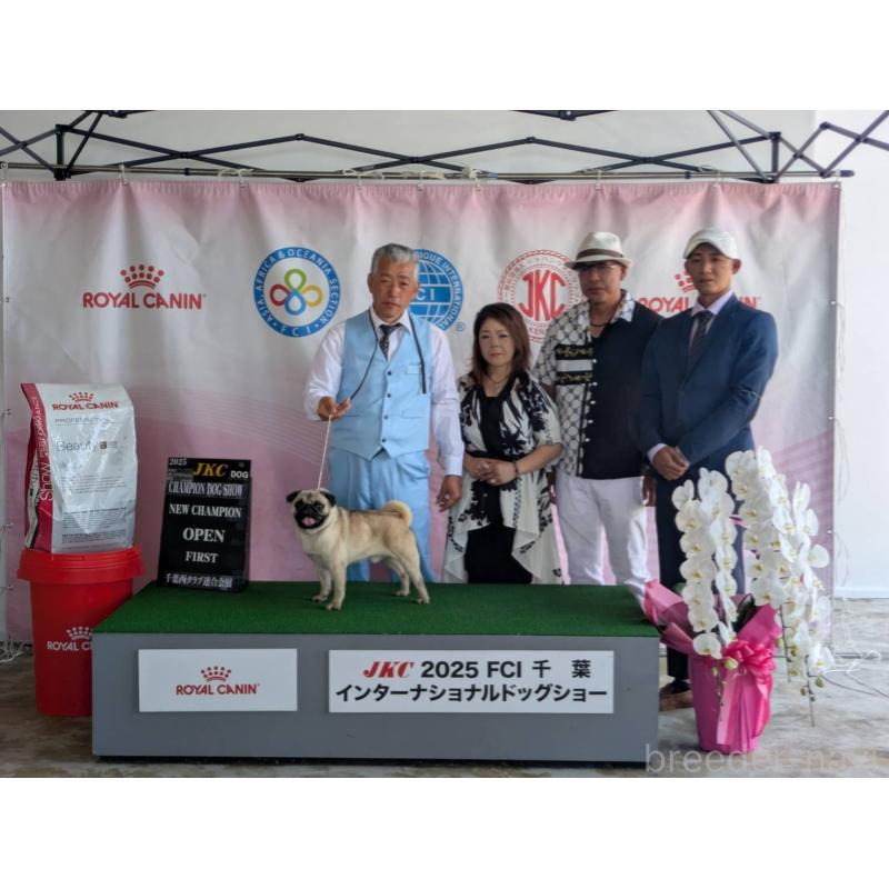 杉本麻子ブリーダーの詳細の1枚目
