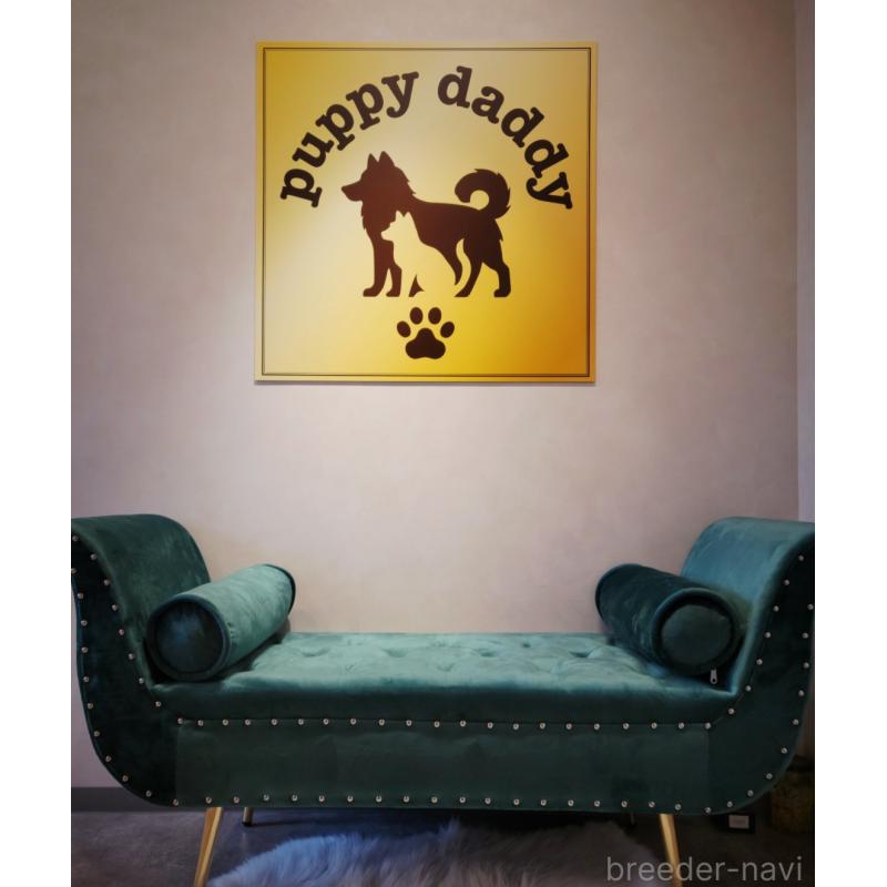 志摩三奈子ブリーダーの詳細