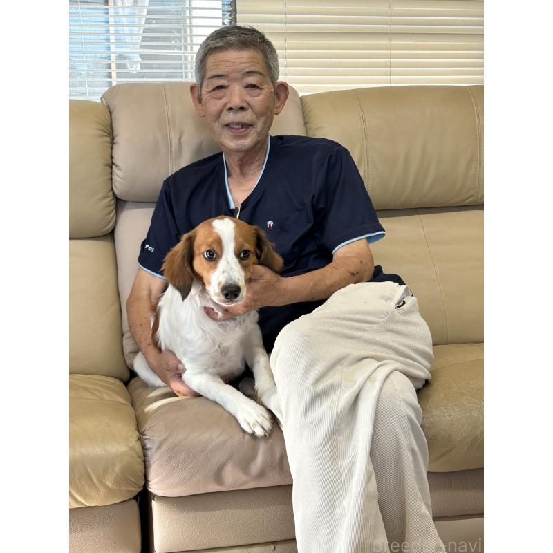 柿木利一ブリーダーの詳細の1枚目