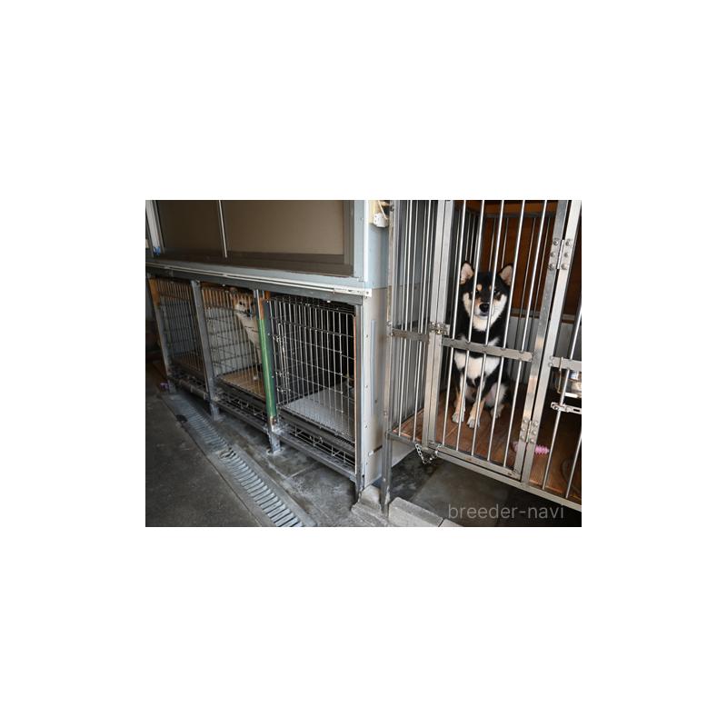 山脇照之ブリーダーの詳細