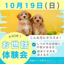 勝間大輝ブリーダー